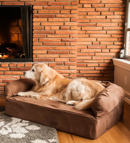 Haustiersofa